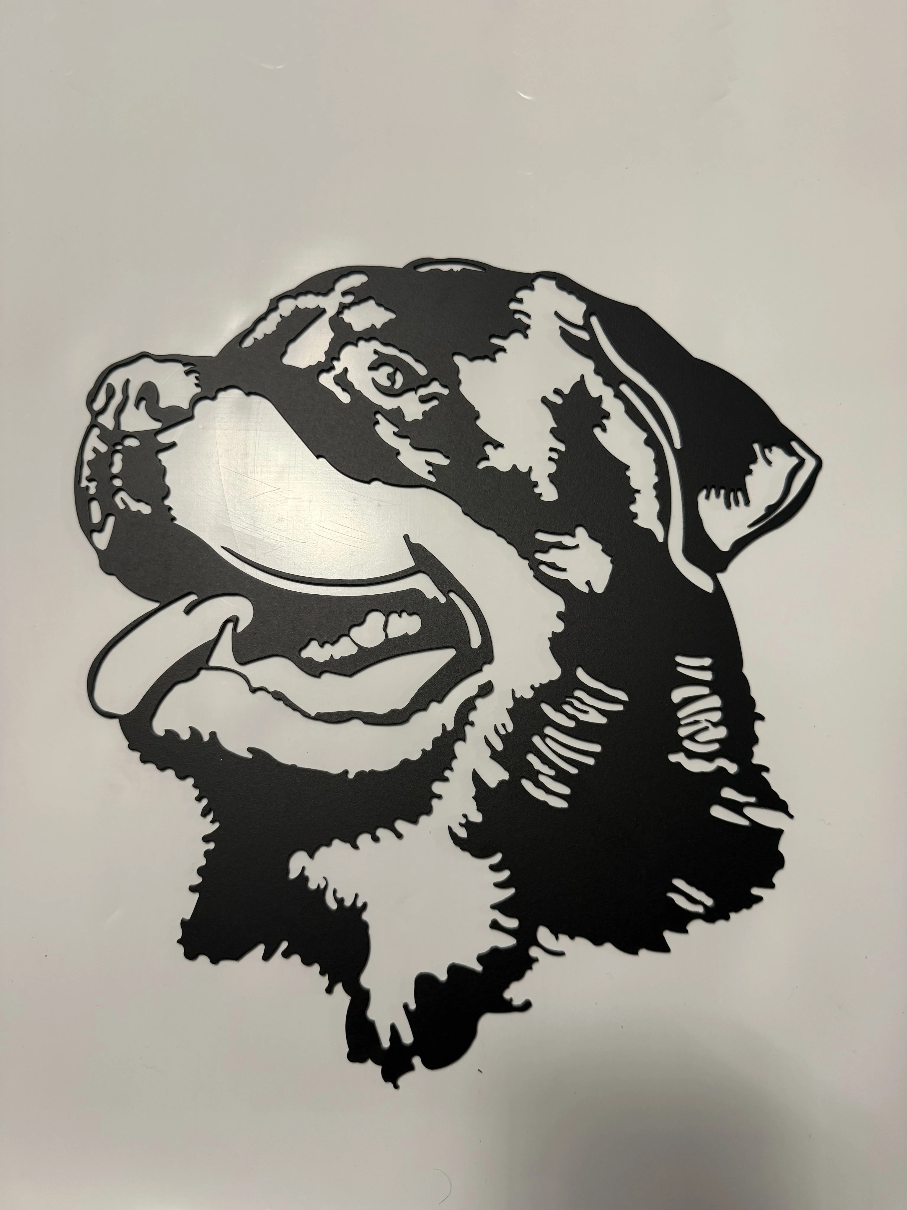 Rott tete
