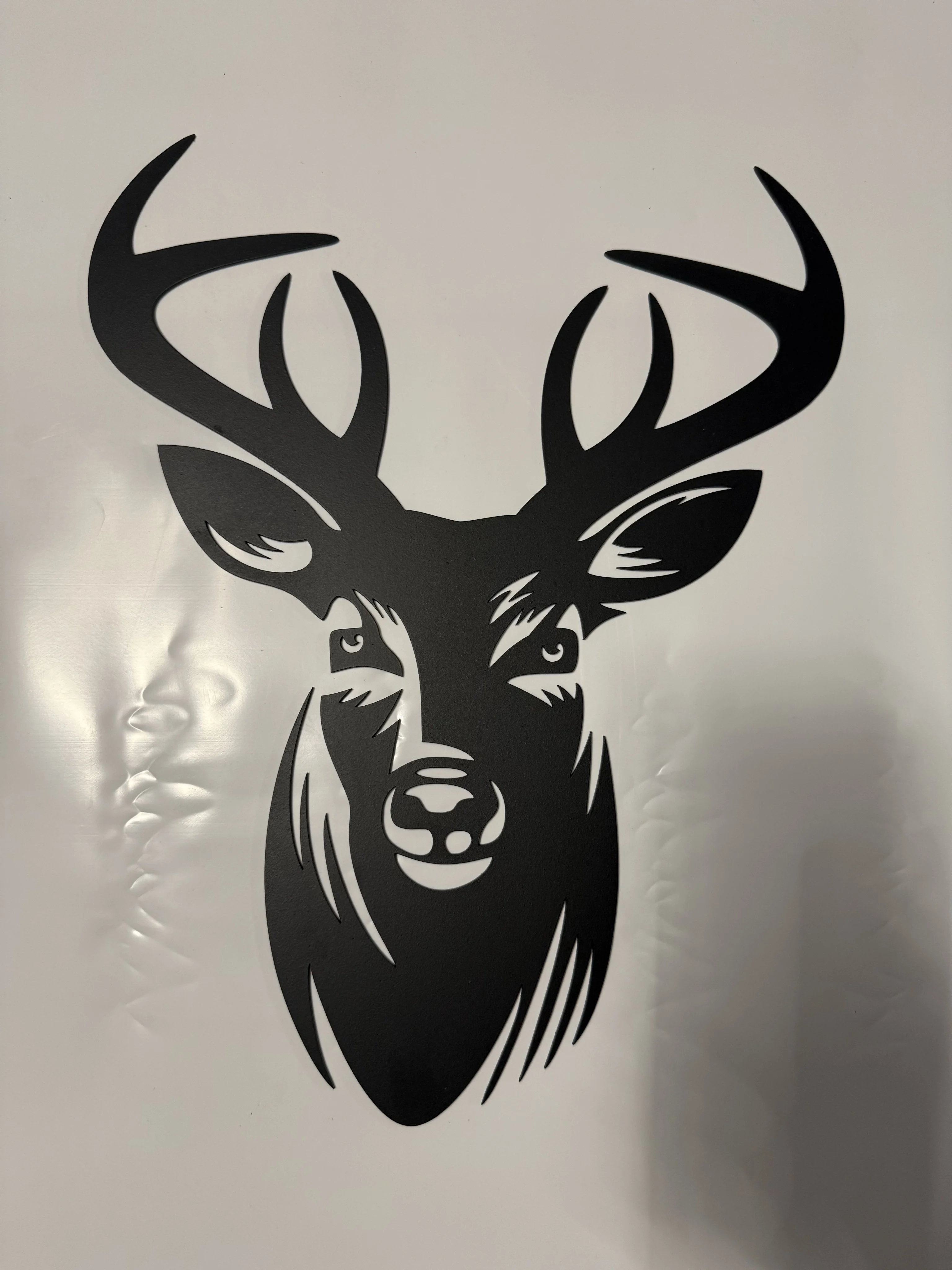 Tete de cerf